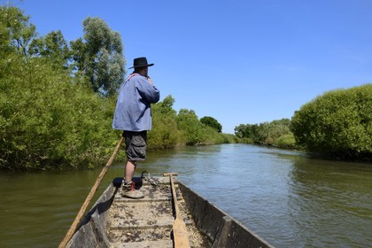 France, Bas Rhin, Ebersmunster and Muttersholtz region, the Ried, the boatman Patrick Unterstock in a small flat wooden bottom boat on the Ill river