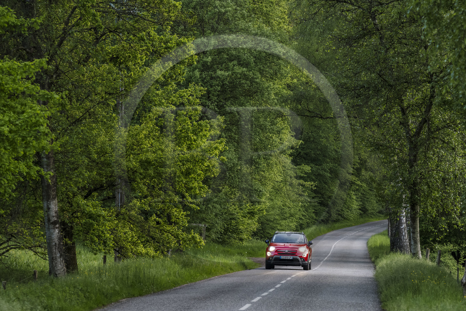France, Bas-Rhin (67), Parc naturel régional des Vosges du Nord, Lembach, voiture circulant sur la route départementale D3