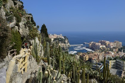 Principauté de Monaco, Monaco, le Jardin Exotique regroupant plusieurs milliers d'espèces de plantes succulentes, le Rocher et le port de Fontvieille en arrière plan