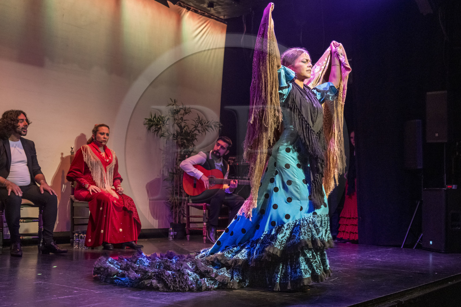 Espagne, Catalogne, Barcelone, City Hall Barcelona, spectacle de danse Flamenco