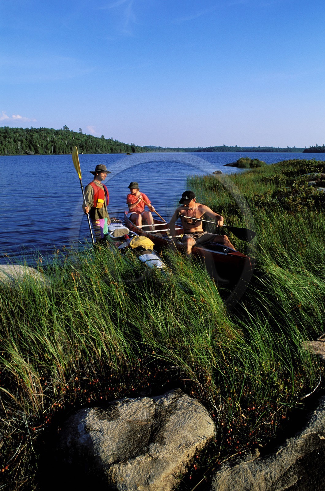 Canada, province de Québec, Réserve faunique de la Vérendrye, halte sur un des îlots du Grand Lac Victoria