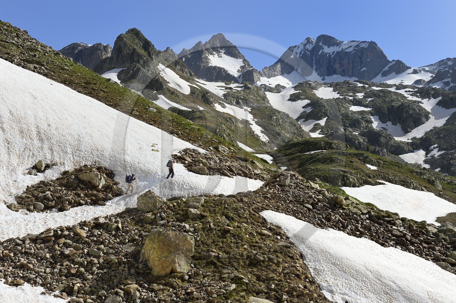France, Alpes-Maritimes (06), parc national du Mercantour, Haute-Vésubie, randonnée dans le vallon de la Madone de Fenestre, franchissement d'un névé, le massif du Gélas (3143m) qui marque la frontière avec l'Italie