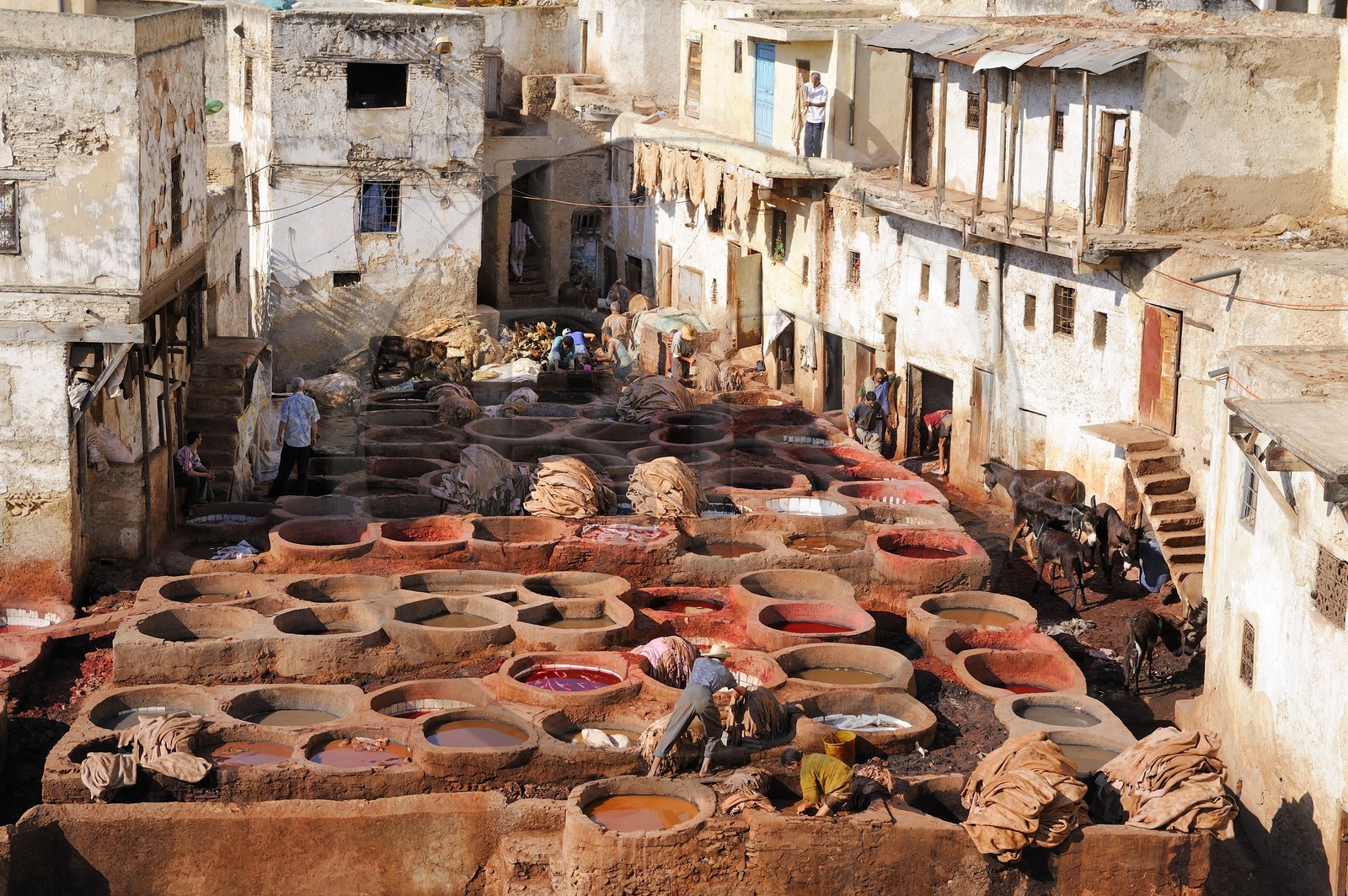 Maroc, Moyen Atlas, Fès, ville impériale, médina classée Patrimoine Mondial de l'UNESCO, Fès el Bali, quartier des tanneurs, Chouara
