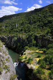 France, Hérault (34), les Gorges de l'Hérault vers Saint-Guilhem-le-Désert
