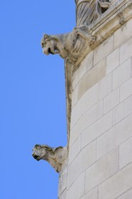 France, Loir et Cher, Loire Valley, listed as World Heritage by UNESCO, Chaumont sur Loire castle, Gargoyles in the yard