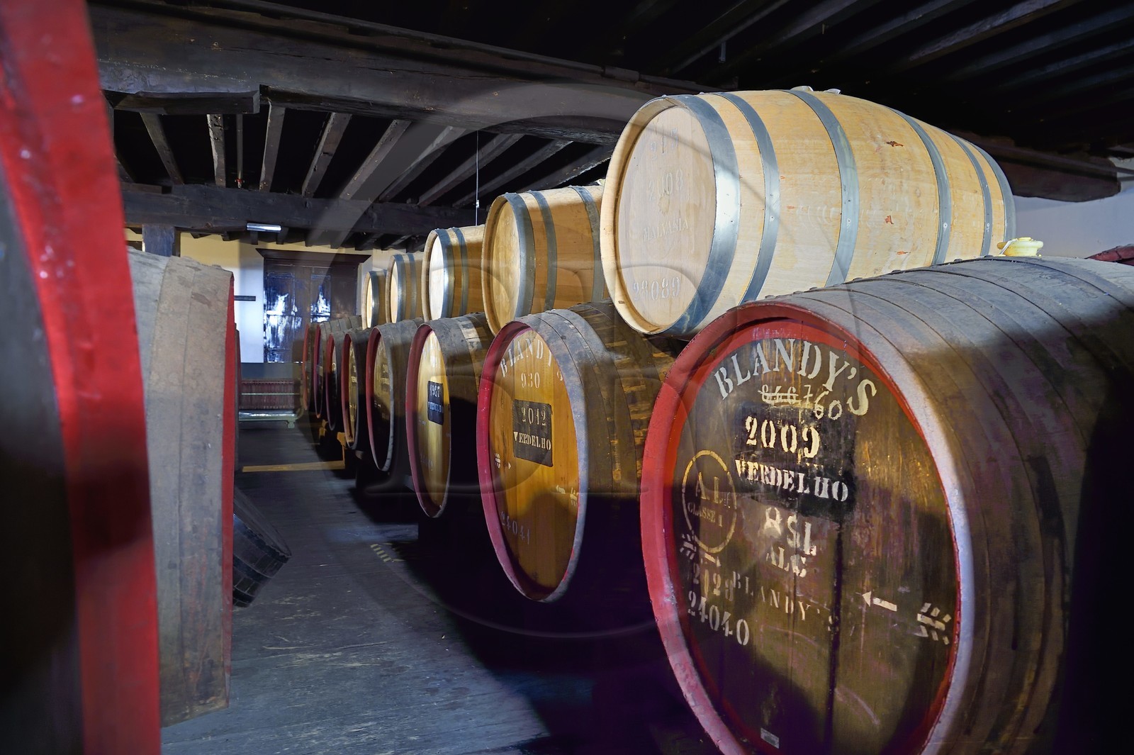 Portugal, Madeira Island, Funchal, Madeira Wine Company, Madeira barrels (natural sweet wine) stored in the cellar of the Blandy's brand (founded in 1811)