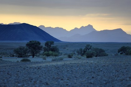 Namibia, Hardap region, Namib desert, Namib-Naukluft national park, Namib Sand Sea listed as World Heritage by UNESCO, Sossusvlei at dawn