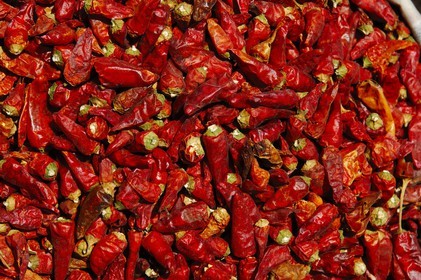 Egypte, Haute Egypte, Nubie, vallée du Nil, Assouan, le souk, étal d'épices, piments