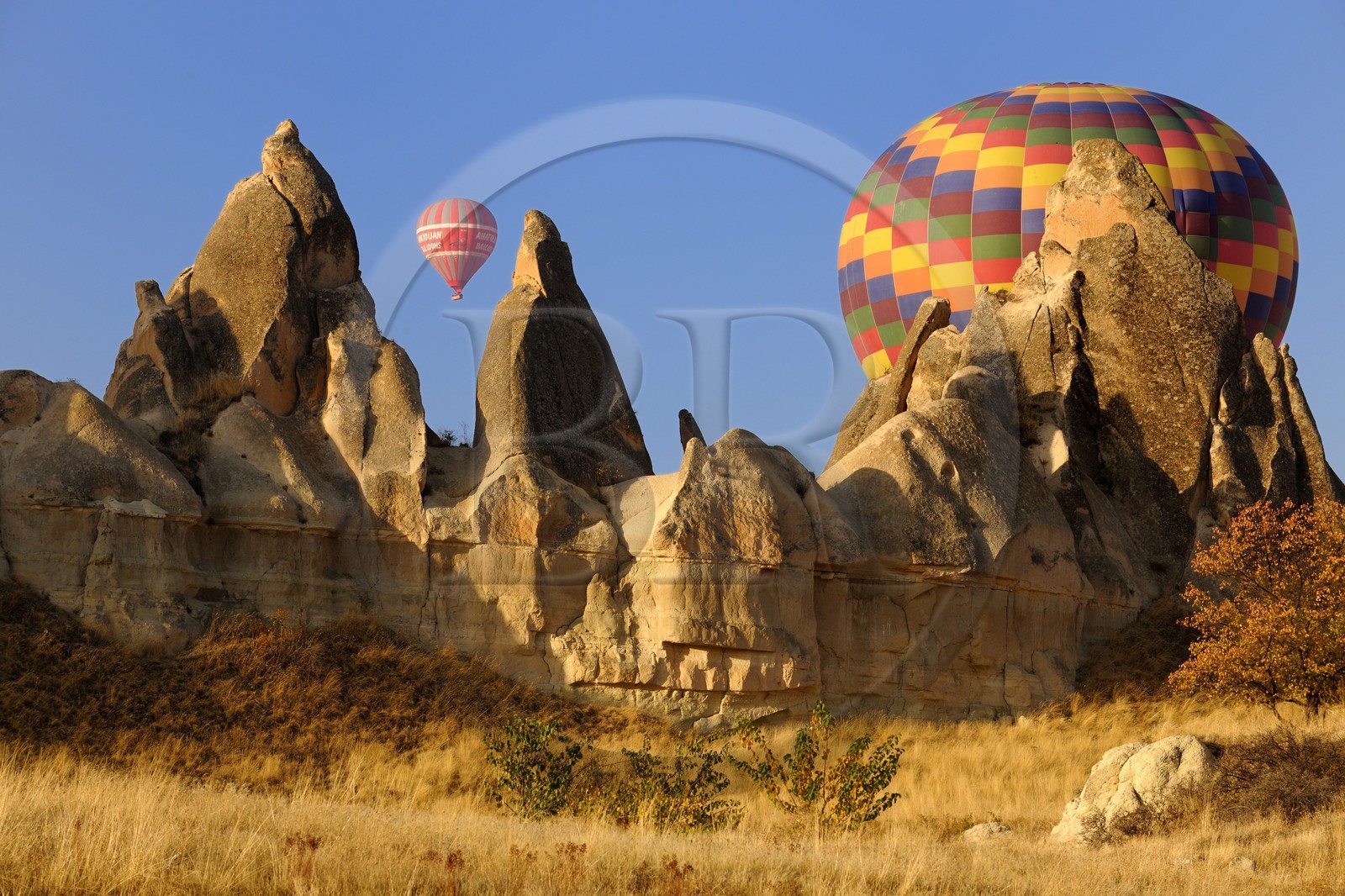 Turquie, Anatolie Centrale, province de Nevsehir, Cappadoce classée Patrimoine Mondial de l'UNESCO, survol en montgolfière de paysages d'érosion et cheminées de fées aux environs d'Uçhisar et de Göreme