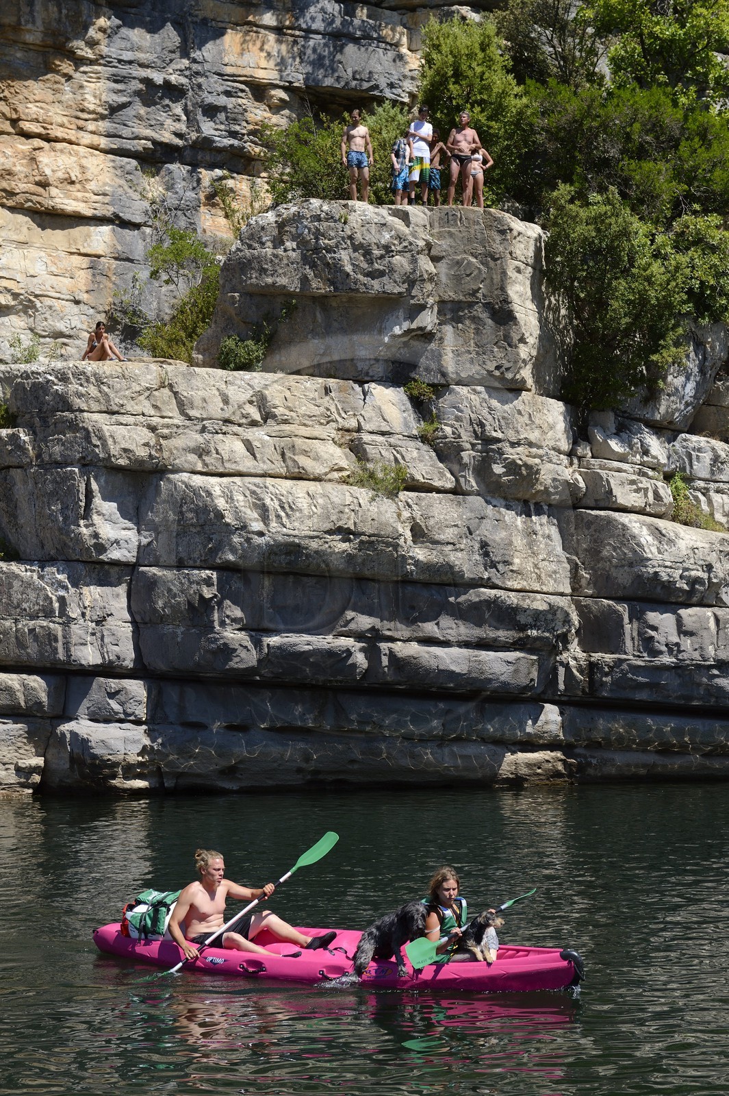 France, Ardèche (07), Les Vans, kayaks descendant la rivière Chassezac