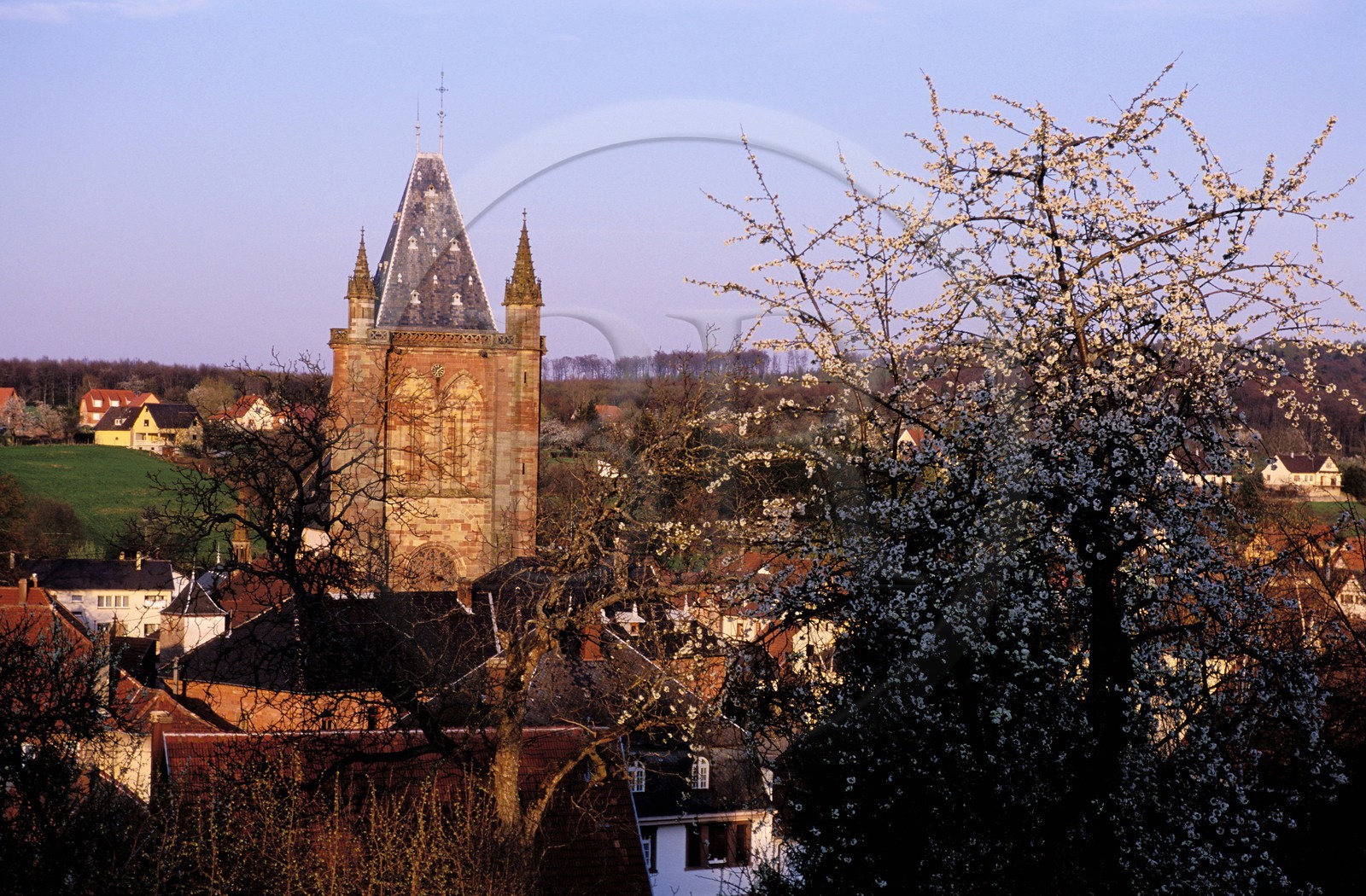 France, Bas-Rhin (67), Niederhaslach, la collégiale Saint-Florent France, Bas-Rhin (67), Niederhaslach, la collégiale Saint-Florent