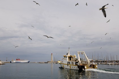 France, Hérault (34), Sète, Vieux Port, retour de pêche d'un chalutier et le phare du Môle Saint-Louis