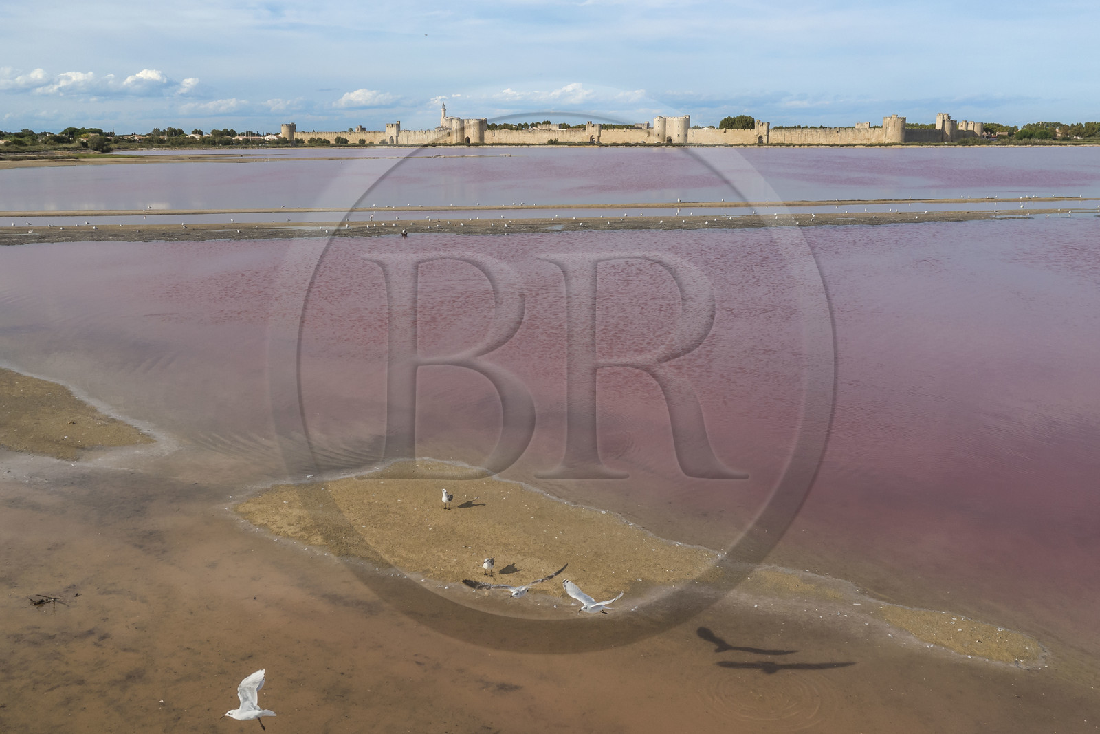 France, Gard (30), Aigues-Mortes, la ville médiévale entourée par ses remparts en bordure des marais salants (Salins du Midi) (vue aérienne)