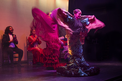 Espagne, Catalogne, Barcelone, City Hall Barcelona, spectacle de danse Flamenco