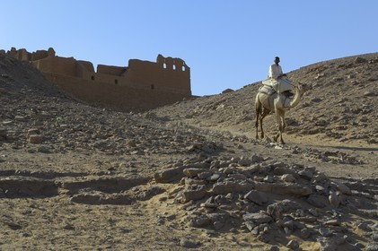 Egypte, Haute Egypte, Nubie, vallée du Nil, Assouan, dromadaires devant le monastére Saint-Siméon sur la rive gauche du Nil