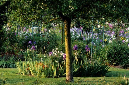 France, Eure (27), Giverny, jardin de Claude Monet, fin septembre