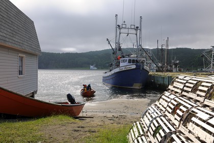 Canada, Newfoundland and Labrador Province, Newfoundland Island, Corner Brook Fjord, on the Capitain Cook's footsteps, fishermen village of Frenchman's Cove
