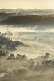 France, Calvados, La Rivière Saint Sauveur, the countryside at the foot of the Pont de Normandie (Normandy Bridge) at dawn