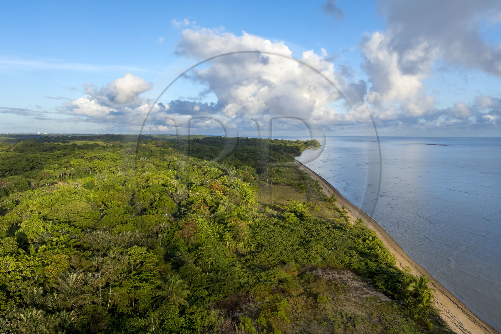 France, Guyane, Kourou, zones humides, forêts et savanes protégées dans l'enceinte du centre spatial et gérées par l'Office National des Forêts (ONF), elle est bordée au Nord-Est par la plage de Kourou (vue aérienne)
