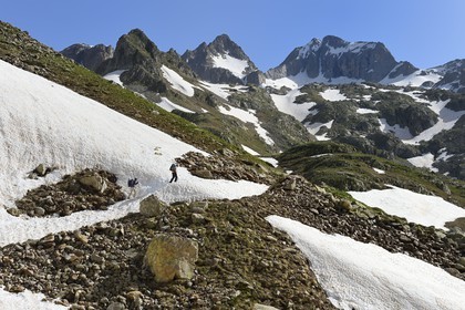 France, Alpes-Maritimes, parc national du Mercantour ( Mercantour national park), Haute-Vesubie, trek in the Madone de Fenestre valley, crossing a snowfield, the Gélas mountain (3143 m) which marks the border with Italy