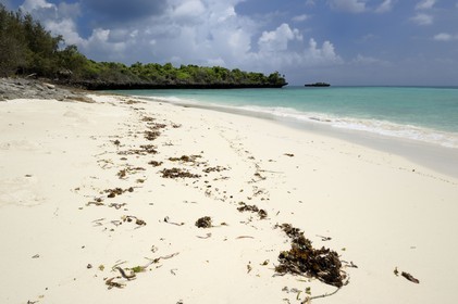 Tanzania, Zanzibar Archipelago, Unguja island (Zanzibar), west coast, beach of the nature reserve of  Chumbe Island Coral Park at low tide