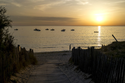 France, Charente Maritime, Oleron island, Saint Georges d'Oléron, Domino beach at sunset