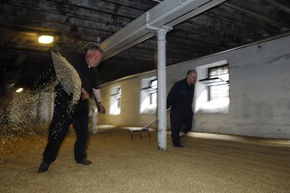 Royaume-Uni, Ecosse, Iles Orcades, Kirkwall, distillerie de whisky Highland Park, plancher de maltage