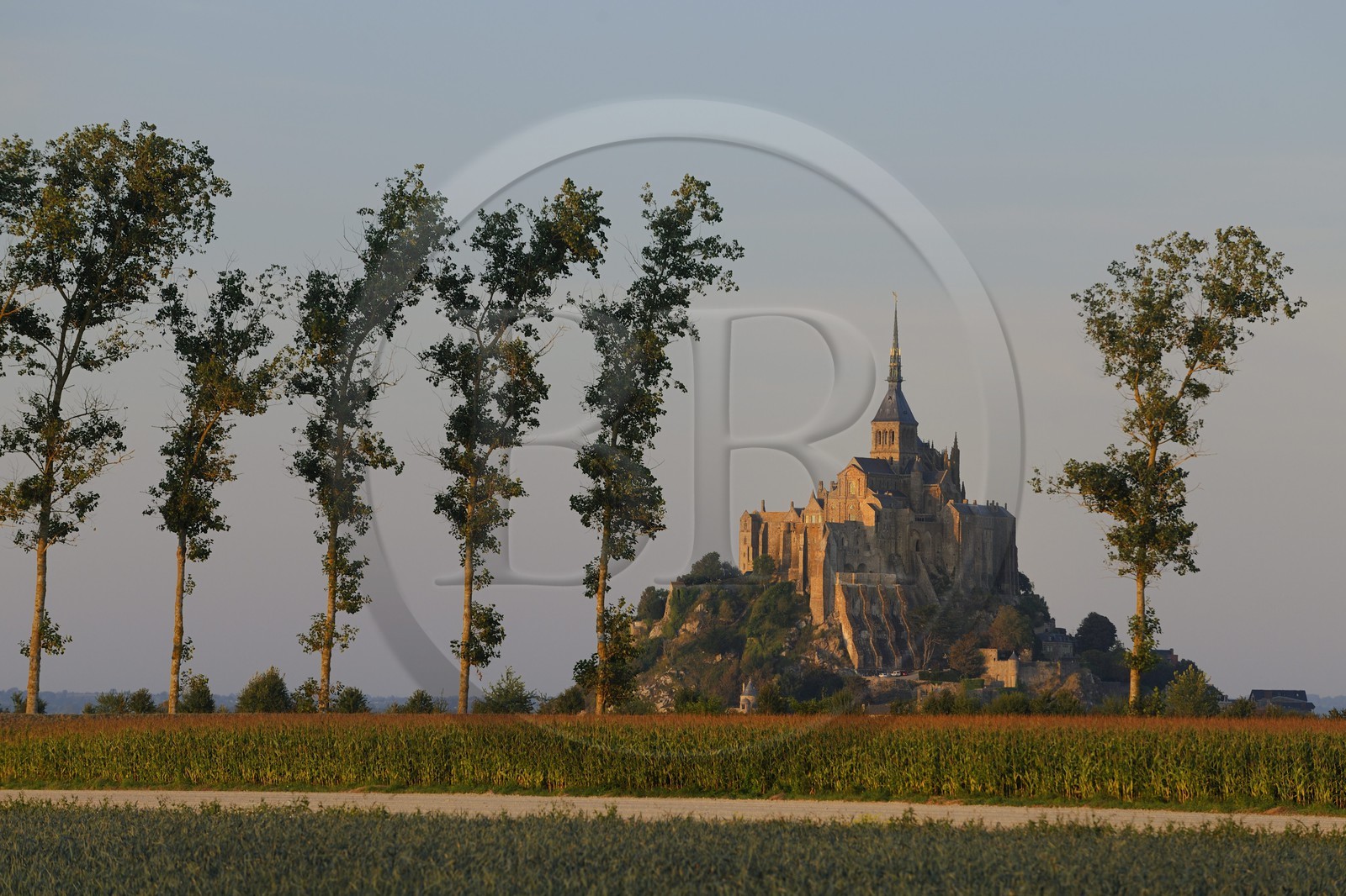 France, Manche (50), Mont-Saint-Michel, classé Patrimoine Mondial de l'UNESCO, et les polders, culture du maîs