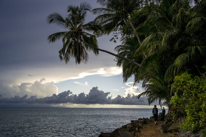 France, Guyane, Kourou, Iles du Salut, Ile Royale, randonnée sur le sentier cotier