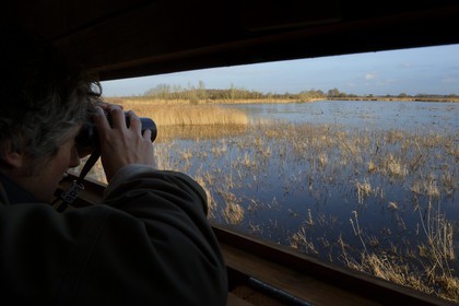 France, Indre, Berry, Parc Naturel Regional de la Brenne (Natural Regional Park of La Brenne), La Touche pond, observatory built by the park and by the League for protecting birds, bird watching hut