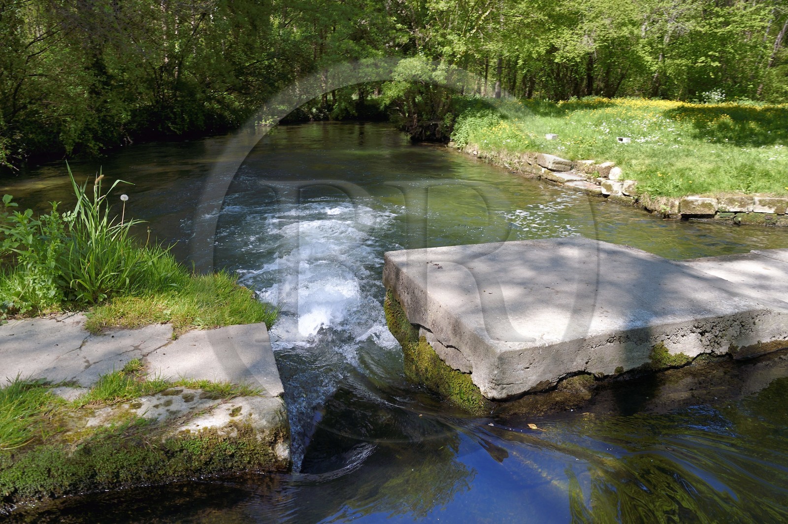 France, Charente (16), Bassac, la Guirlande creusé par les moines au XIème siècle, un affluent de la Charente