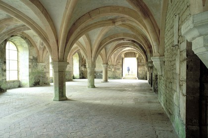 France, Côte-d' Or (21), abbaye cistercienne de Fontenay fondée en 1118, le scriptorium