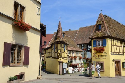 France, Haut Rhin, Eguisheim, labelled Les Plus Beaux Villages de France (The Most Beautiful Villages of France), house of the winemaker Joseph Freudenreich, tasting and wine sale