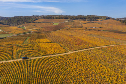 France, Cote d'Or, cultural Landscape of the climates of Burgundy listed as World Heritage by UNESCO, Route des Grands Crus (road of Vintage Wines), the vineyard of the Vosne-Romanée village (aerial view)