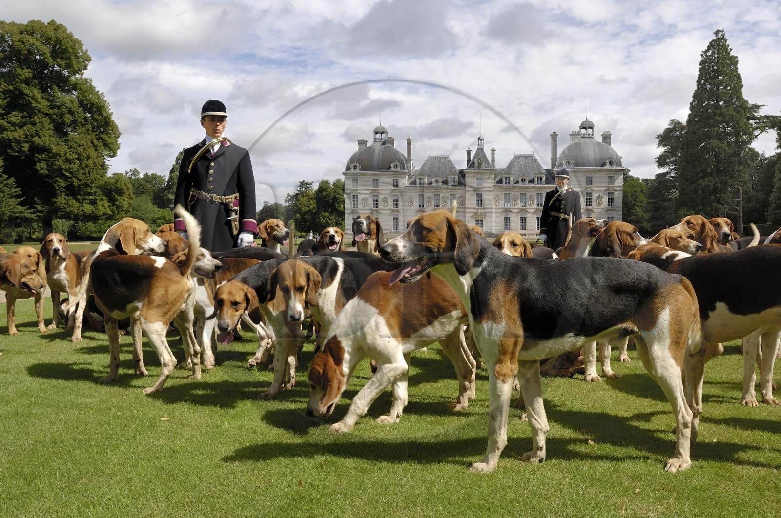 France, Loir-et-Cher (41), château de Cheverny, les piqueux Vol au Vent et La Rosée qui gèrent la meute de 90 chiens de chasse à cour