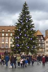France, Bas Rhin, Strasbourg, old town listed as World Heritage by UNESCO, the big christmas tree on Place Kleber