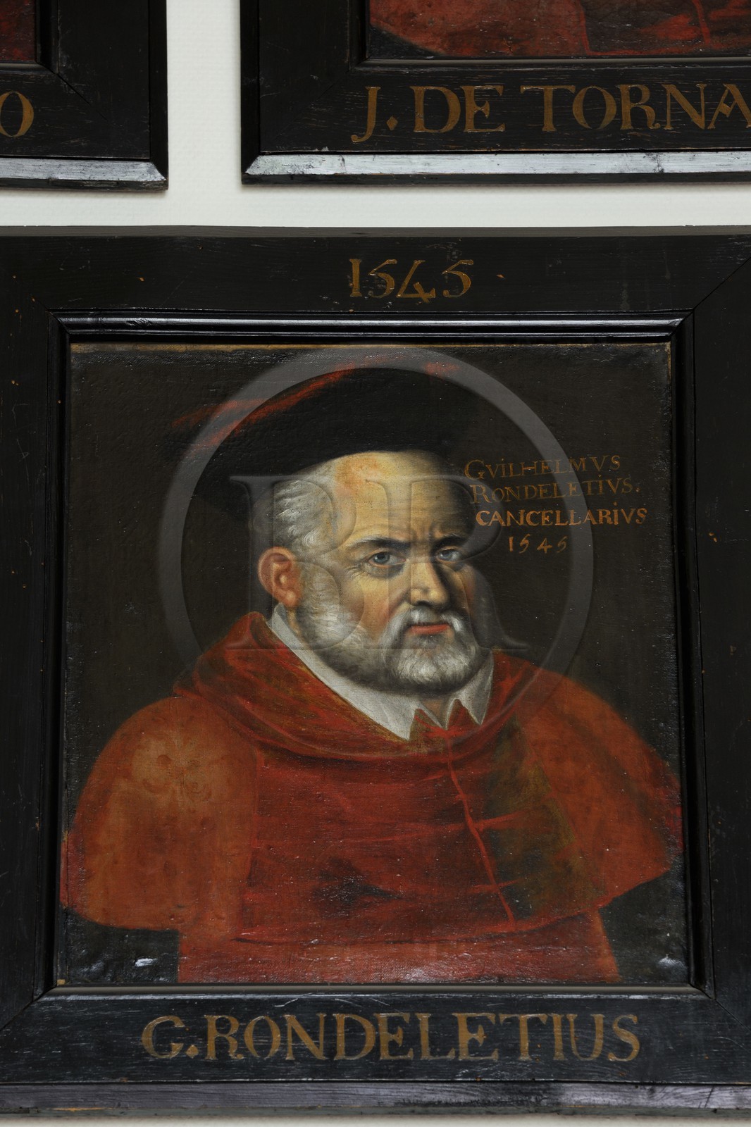 France, Hérault (34), Montpellier, centre historique, faculté de médecine, antichambre de la salle du Conseil, le vestiaire des professeurs, portrait de Guillaume Rondelet ami de Rabelais en 1545