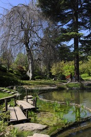 France, Hauts-de-Seine (92), Boulogne-Billancourt, le jardin japonais du musée départemental Albert-Kahn