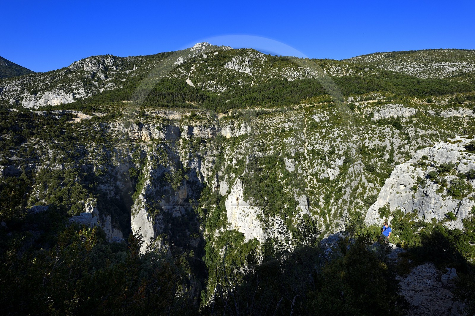Var (83) rive gauche et Alpes-de-Haute-Provence (04) rive droite, Parc Naturel Régional du Verdon, le Grand Canyon des Gorges du Verdon vue de la Corniche Sublime