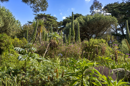 France, Finistère (29), Iles du Ponant, Ile de Batz, jardin Georges Delaselle ou jardin colonial, jardin exotique présentant une collection botanique provenant des cinq continents