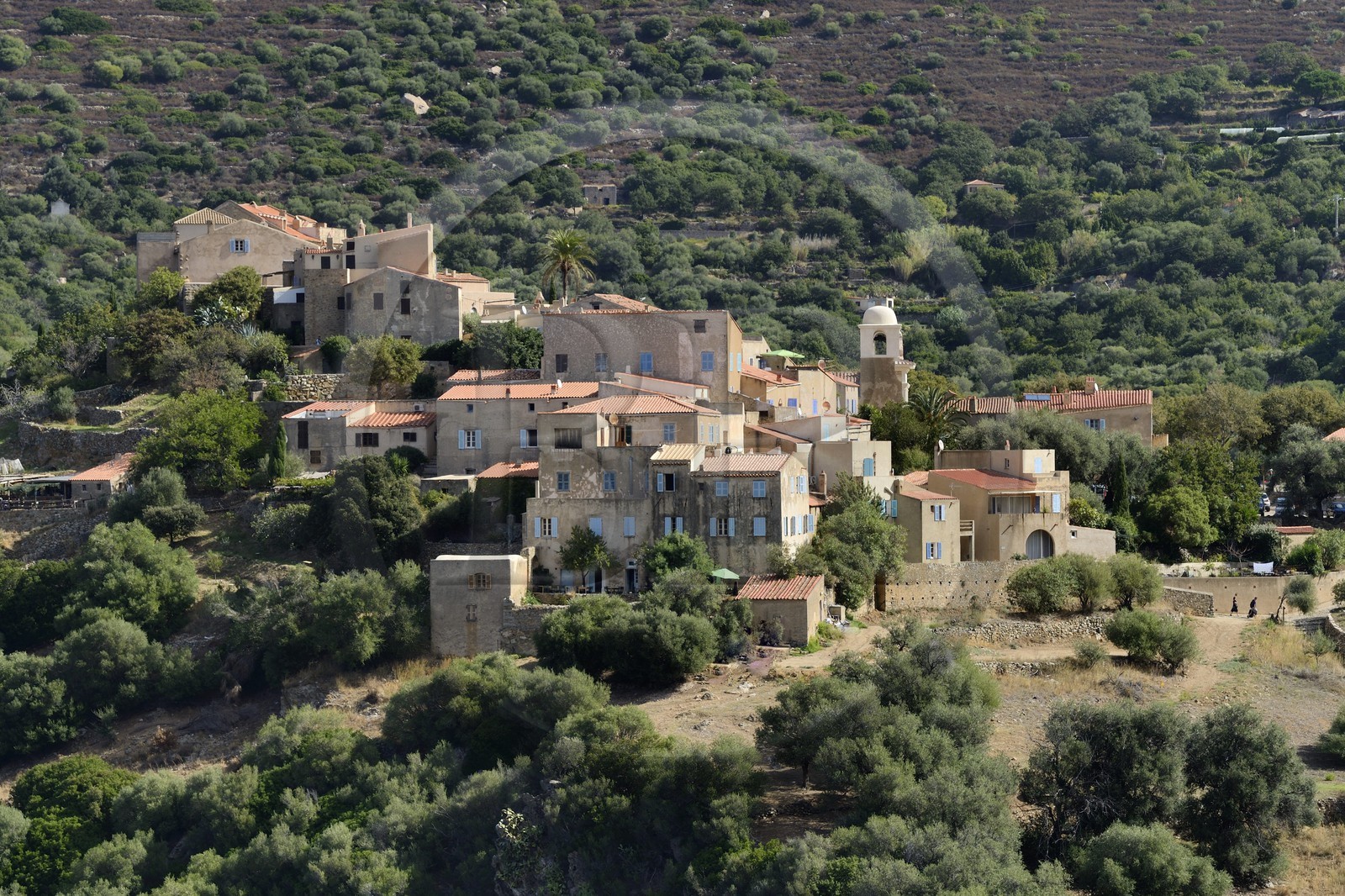 France, Haute-Corse (2B), Balagne, village perché de Pigna