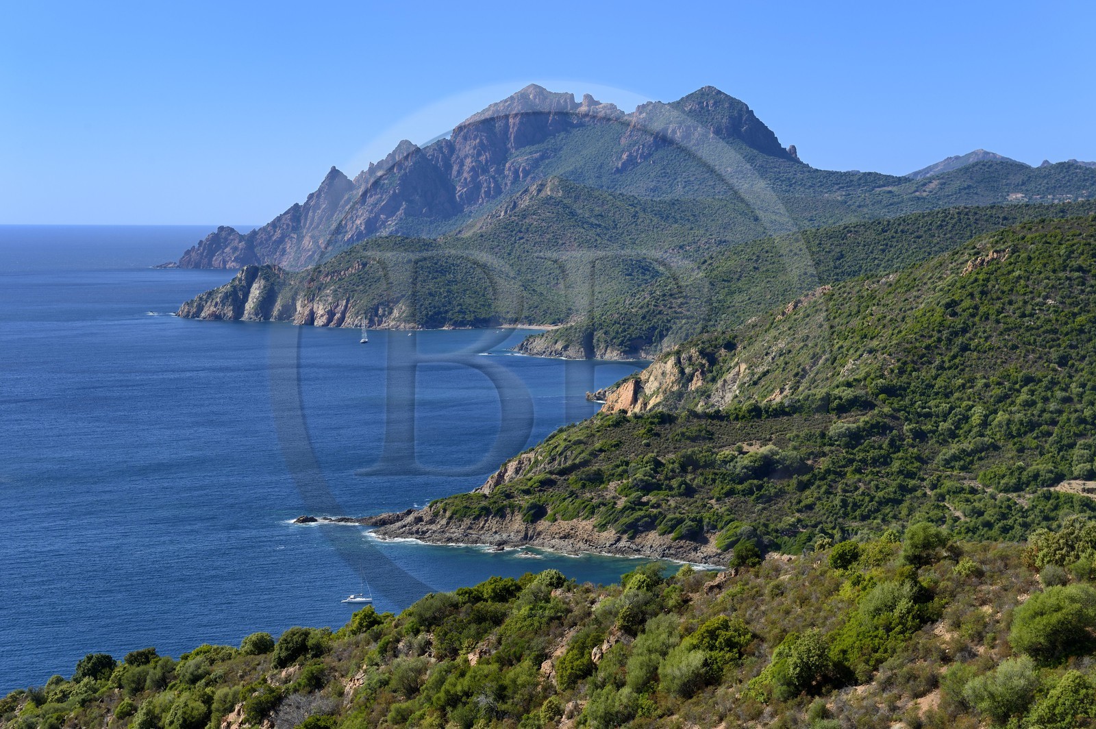 France, Corse du Sud, Golfe de Porto, listed as World Heritage by UNESCO, the Capo Senino