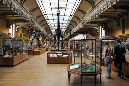 France, Paris (75), Jardin des Plantes, Museum National d'Histoire Naturelle, Galeries de Paléontologie et d'Anatomie comparée