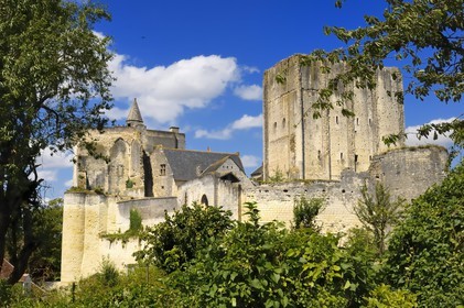 France, Indre et Loire, Loches, the donjon and the feudal fortress