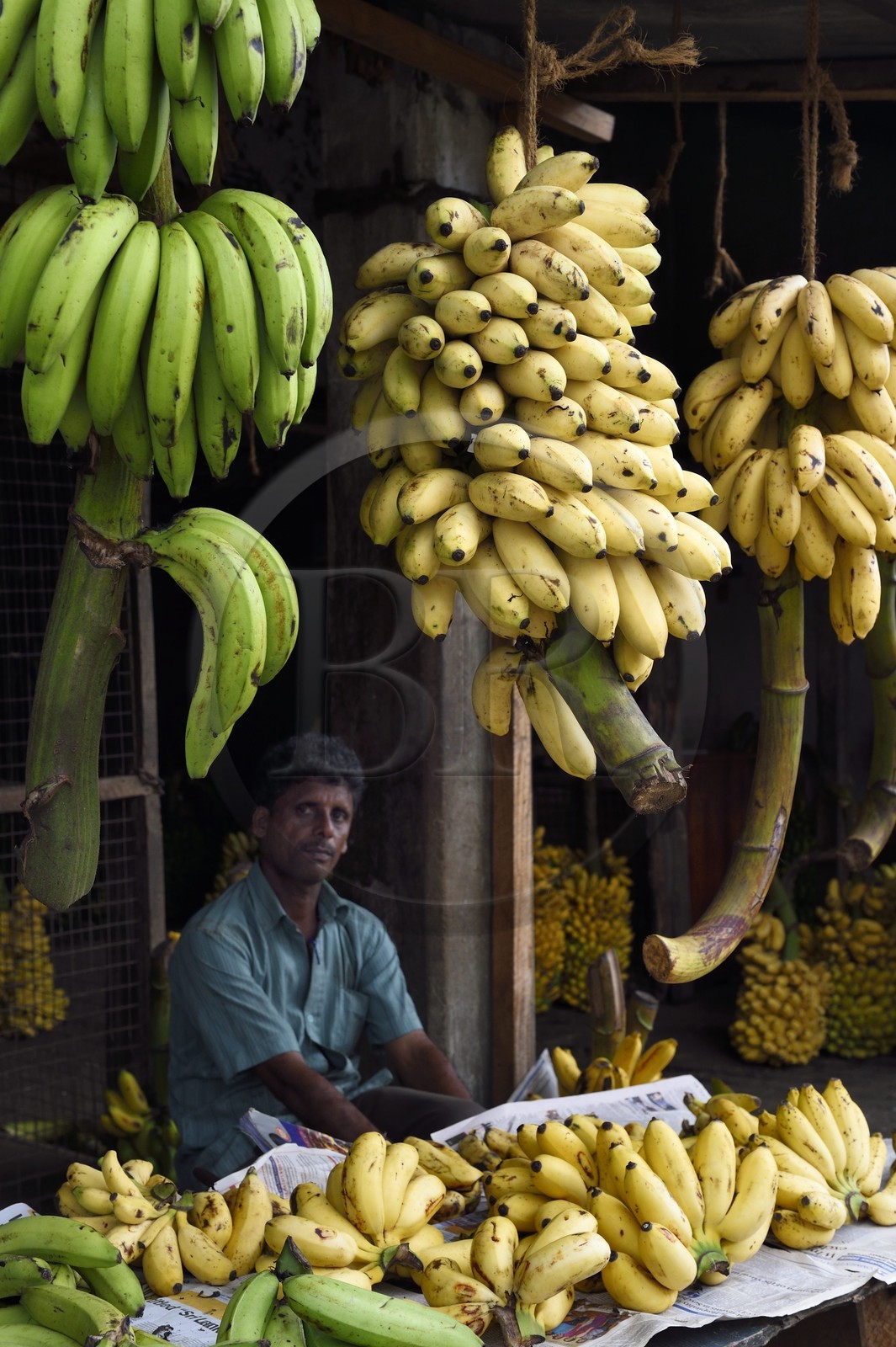 Sri Lanka, province de l'ouest, district de Colombo, Colombo, le marché de fruits et légumes Manning dans le quartier de Pettah