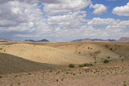 Namibia, Khomas region, Namib Desert next to the Gamsberg Nature Reserve on the West and the Namib Naukluft National Park on the East