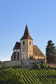 France, Haut-Rhin (68), Route des vins d'Alsace, Hunawihr, labellisé Les Plus Beaux Villages de France, église fortifiée Saint-Jacques-le-Majeur du XIVème siècle fonctionnant en simultaneum (catholique et protestant) et entourée de vignes