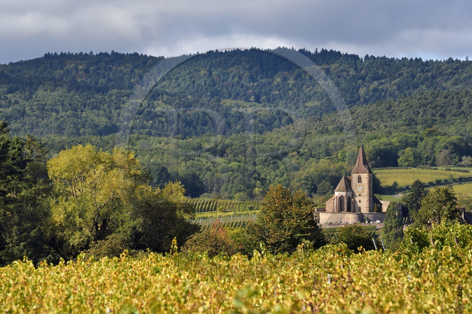 France, Haut-Rhin (68), Route des vins d'Alsace, Hunawihr, labellisé Les Plus Beaux Villages de France, église fortifiée Saint-Jacques-le-Majeur du XIVème siècle fonctionnant en simultaneum (catholique et protestant) et entourée de vignes France, Haut-Rhin (68), Route des vins d'Alsace, Hunawihr, labellisé Les Plus Beaux Villages de France, église fortifiée Saint-Jacques-le-Majeur du XIVème siècle fonctionnant en simultaneum (catholique et protestant) et entourée de vignes