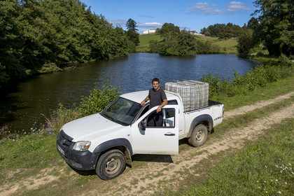 France, Nievre, Regional Natural Park of Morvan, Millay, Les Prairies Gourmandes Farm, Emmanuel Dumas, breeder of Charolais cows (aerial view)