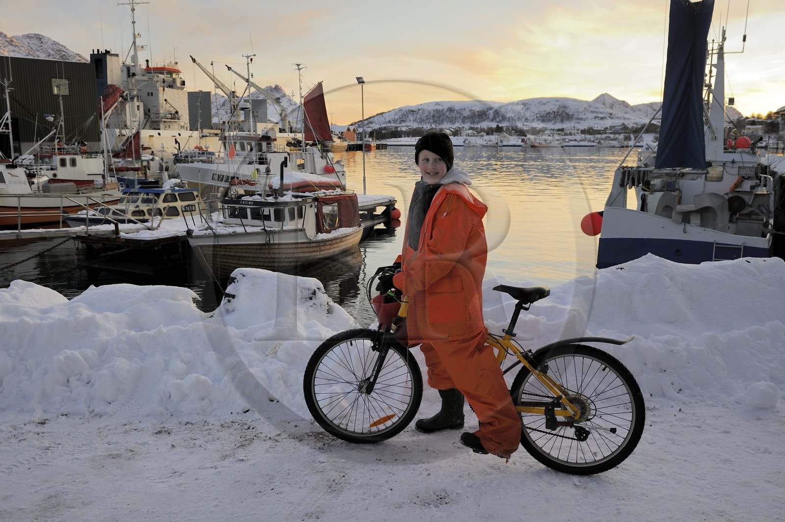 Norvège, Nordland, iles des Westeralen, port de Myre, jeunes pêcheurs rentrant chez eux en vélo Norvège, Nordland, iles des Westeralen, port de Myre, jeunes pêcheurs rentrant chez eux en vélo